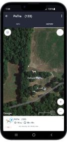 Ultimate Pet Surveillance Pet Tracker Mini GPS Tracker Dog Collar Locator Size:L